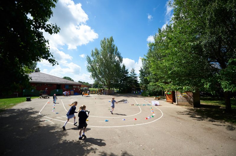 Home - Paddock Wood Primary Academy