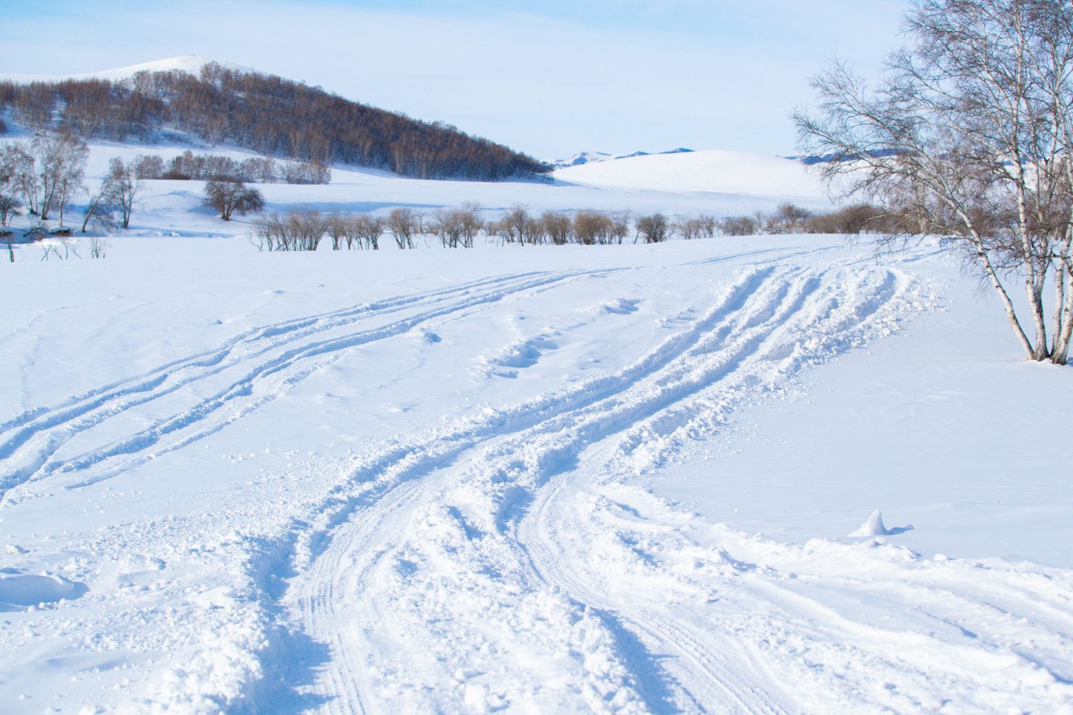 Snow Plan For Parentscarers Paddock Wood Primary Academy