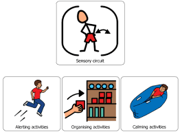 Sensory Circuit Diagram